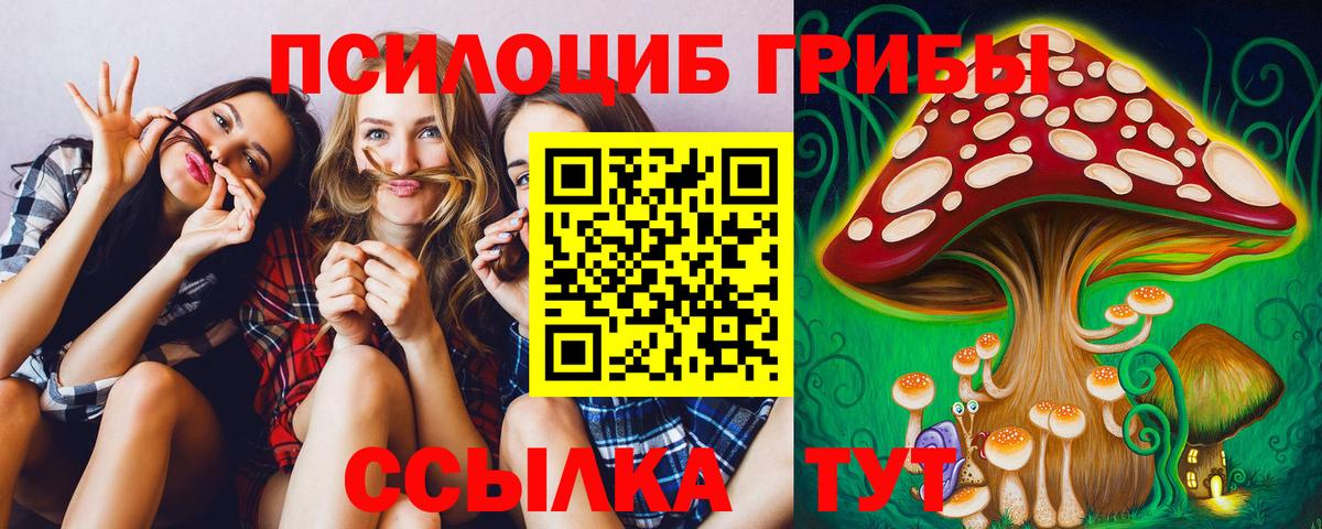 Галлюциногенные грибы Psilocybe Ковров
